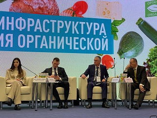 Производство и продвижение органической продукции обсудили на выставке «Продэкспо – 2023»