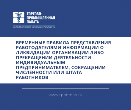 Правительство России утвердило временные правила представления работодателями информации о ликвидации организации либо прекращении деятельности индивидуальным предпринимателем, сокращении численности или штата работников