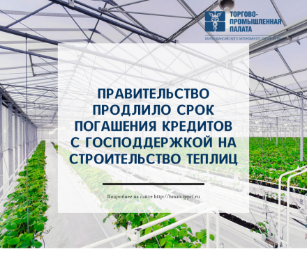 Правительство продлило срок погашения кредитов с господдержкой на строительство теплиц