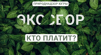 Кто платит за Экосбор?