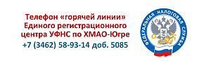 Телефон «горячей линии» по вопросам регистрации ИП и ЮЛ