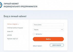 Сдача отчётности ИП через сервис ФНС