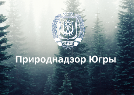 Торгово-промышленная палата Югры информирует о начале отчетного периода, порядке и сроках предоставления сведений в региональный кадастр отходов