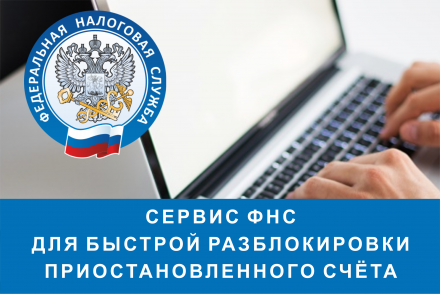ФНС запустила сервис для быстрой разблокировки приостановленного счета