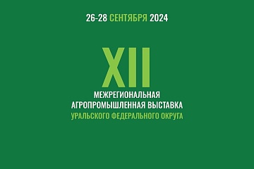 Уличная ярмарка ждет посетителей в Ханты-Мансийске