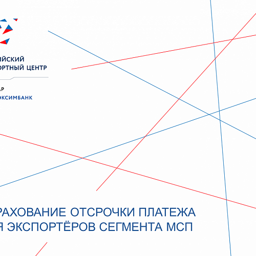 Страхование отсрочки платежа для МСП