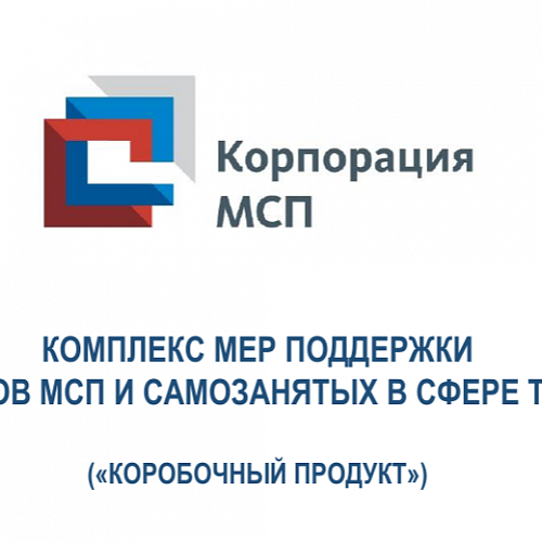 Комплекс мер поддержки субъектов МСП и самозанятых в сфере туризма