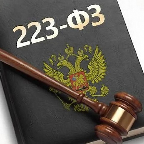 Предоставление консультаций по закупкам для предпринимателей