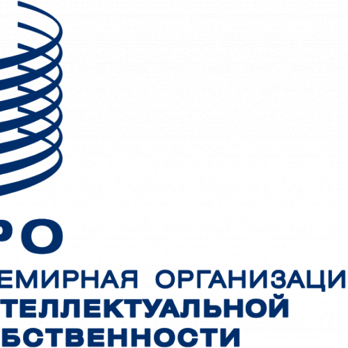 Программа молодых экспертов для подготовки глобальных лидеров в области интеллектуальной собственности