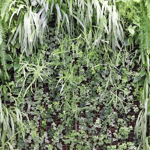 Резидент Технопарка принимает участие в выставке Organic Natural Dubai 2021 в Дубае