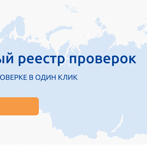 Зеркальный реестр проверок на Портале Бизнес-навигатора МСП