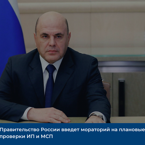 Правительство России введет мораторий на плановые проверки ИП и МСП