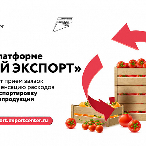 Аграрии смогут компенсировать до 100% затрат на логистику: 26 февраля стартует прием заявок через платформу «Мой экспорт»