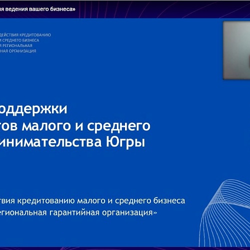 В Ханты-Мансийске состоялся вебинар «Финансовая поддержка для ведения вашего бизнеса»