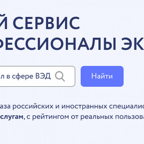 Профессионалы экспорта: помощь российским компаниям в решении экспортных задач