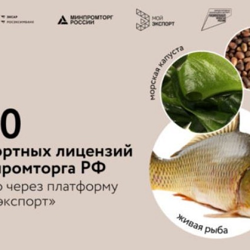 Более 530 экспортных лицензий Минпромторга РФ выдано через платформу «Мой экспорт»
