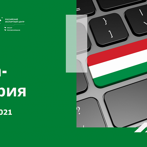 27.05.2021 – Онлайн-встреча с представителями бизнеса Венгрии в сфере ЛПК