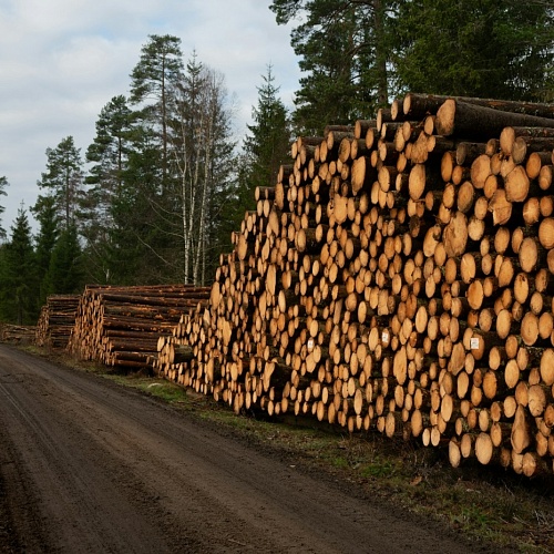 Приглашаем на международную площадку Wood Resource